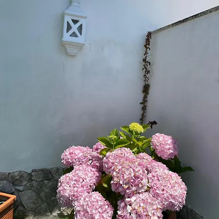 Apartamento Casa Belo Horizonte *