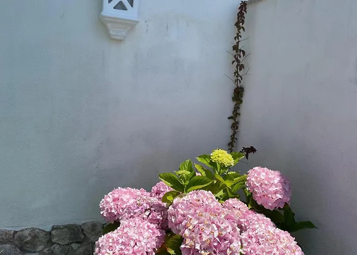 Apartamento Casa Belo Horizonte *